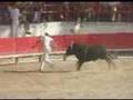 course de taureaux neuf ( partie 2 )