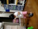 isabelly tentando calcar o chinelo da mamae isabelly tentando calcar o chinelo da mamae