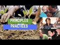 Baha'i Faith - Principles and Practices