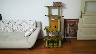 Kedi Evi Yapımı - Homemade Cat House