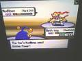videos de Pokemon wifi Battle (GYM BATTLE) VS yachiru