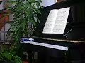 aria varizioni golberg j s  bach