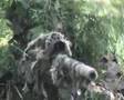 6mm hunters