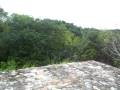 Honeymoon - Belize clip 5
