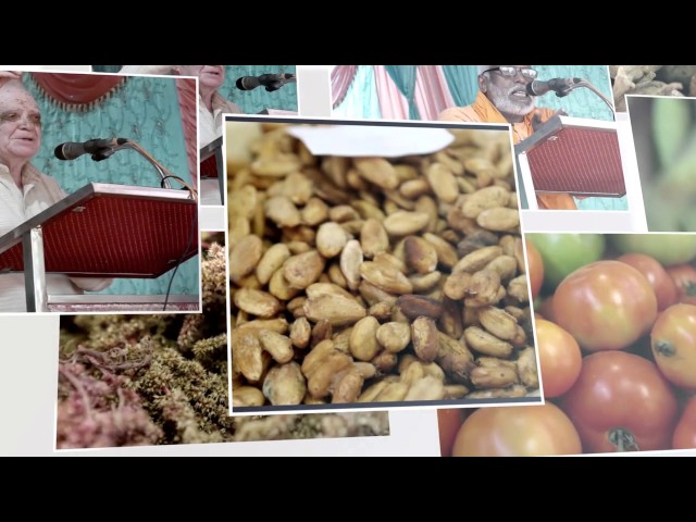 seedfest 2017 promo video
