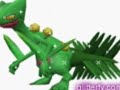 A Sceptile Tribute~Mr. Wonderful A Sceptile Tribute~Mr. Wonderful