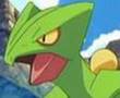 A Sceptile Tribute~Mr. Wonderful