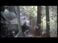 videos de Roaring Cab Ride - Part II