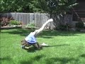 Learning gainers the hard way...