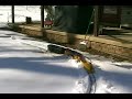 Hard Snow