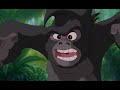 tarzan - son of man
(norwegian video)
http://youtube.com/watch?v=tkeibmhwwrq

tarzan - two worlds
(norwegian video)
http://youtube.com/watch?v=8wty4nf5kn4

tarzan - strangers like me
(norwegian video)
http://youtube.com/watch?v=ernbasajmtu

tarzan - you'll be in my heart
(norwegian video)
http://youtube.com/watch?v=e5zgy8zks1o

tarzan - trashin' the camp
(norwegian video)
http://youtube.com/watch?v=956eyjf7zdi

(rippet fra dvden)
all credit til disney.

sanger: tor endresen
----------------------------------
lyrics:

sjebnen vandrer sine egne veier
to liv, tilh�righet
velg din vei, i kj�rlighet
som bare hjertet vet

et paradis p� ukjent sted
en verden uten fortr�dt
et enkelt liv, et liv i fred

l�vet hvisker under nakne f�tter
to liv, tilh�righet
velg din vei, i kj�rlighet
som bare hjertet vet

her under tr�rnes dunkle tak
solens str�ler leker med
et enkelt liv
et liv i fred

l�ft ditt hode, akselerer din b�r
styrke det har du i deg
og bygg din borg, vit hva du gj�r
for tiden som kommer blir farlig far varlig frem

(pause)

helt uten ord er moders gr�t
helt uten ordets sinn i sorg
en dr�m som brast, en fallen b�t

et sted finnes et h�p som kaller
to liv, tilh�righet
velg din vei i kj�rlighet
som bare hjertet vet