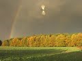Rainbow Logo 14 Vbar