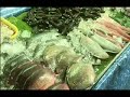 kamakari kenta   fleeting diaries  part 4/4 