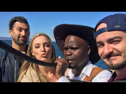 Things get crazy with New Hero