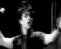 green day ! green day !