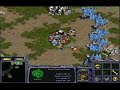 ?? funny starcraft ????? ???