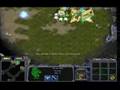 소닉 funny starcraft 낚시대마왕 황효진