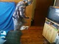 me shuffling!!!
