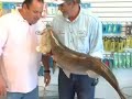 Ocean State Tackle Fishing Tackle  Inventory Reduction Sale