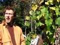 Josh Viertel: garden aesthetics