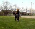 Freestyle