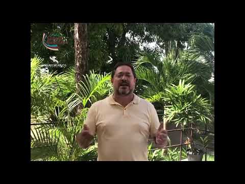 Mensagem de Páscoa (2019)