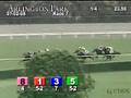 ARLINGTON PARK, 2008-07-02, Race 7