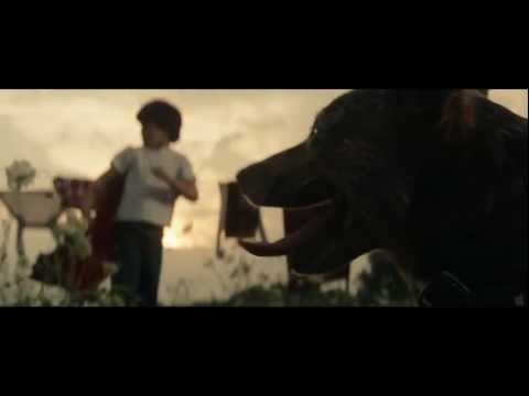 Imagen de previsualización de YouTube
