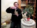 videos de 02.12.2008 - Video-Schrottwichtel-Adventskalender