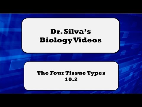 tissue - The purpose of this presentation is to explain the four common tissue types which make up the structures of the body of vertebrates and most other animals.