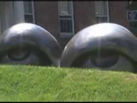 bourgeois eyes