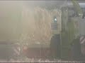 Miscanthus harvest