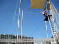 Tiane - Trapeze School DC