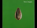 Paris Angels - Perfume (Loved up) (audio only)
