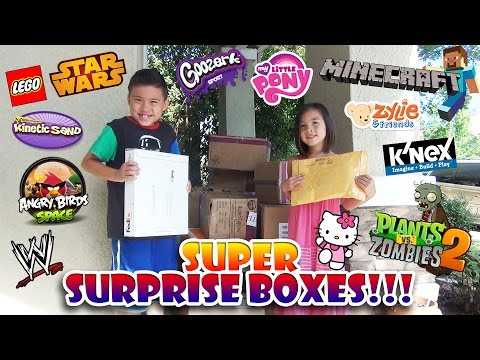 SUPER SURPRISE BOX Opening! LEGO, Minecraft, Plants vs. Zombies, Angry Birds, My Little Pony & More!