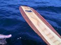 kayak kite sailing