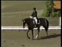 Klimke and Ahlerich - 1984 Olympics Dressage