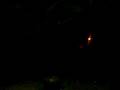 fire orb 7-4-08