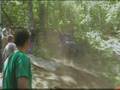 videos de buddy