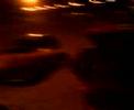 Noche en Olivos \"CLASICOS\"