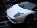 Lamborghini Murciélago Lp640 Roadster