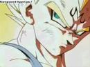 dragon ball z: vegeta tribute