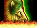gondwana – Fuego