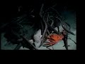 Deep-sea feeding frenzy Deep-sea feeding frenzy