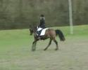 wedstrijd v-jay .....