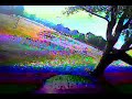 FPV @ Wethersfield Cove:Matt