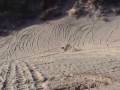 Big Air on the Oregon Dunes