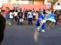 MALLKUS (Pica 2008)Antawaras