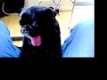 See Video