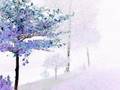 YouTube - Enya...The Memory Of Trees